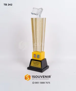 PB242 Rotating Trophy for the Library Service