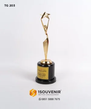 TG203 Golf Trophy of All Stars Charity