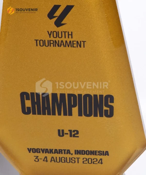 DETAIL-TO245 Trophy Youth Tournament Champions