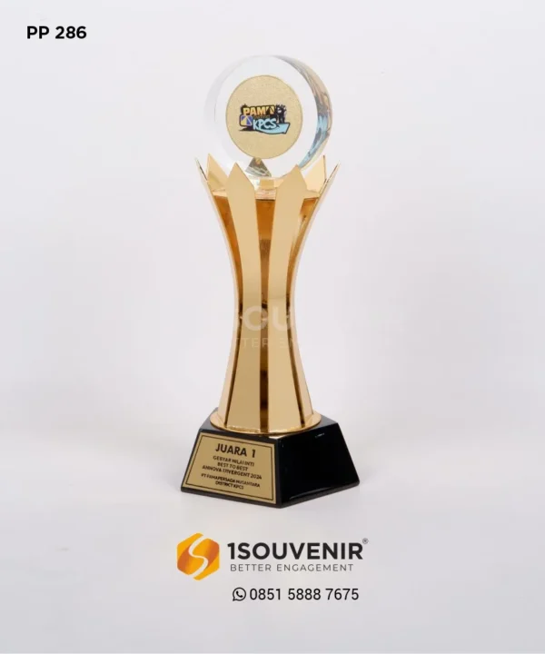 PP286 Trophy Pama District