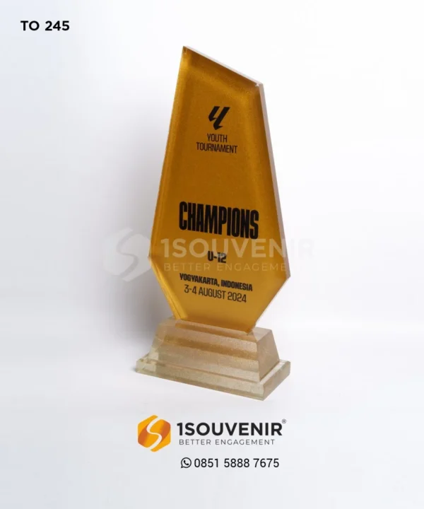 TO245 Trophy Youth Tournament Champions