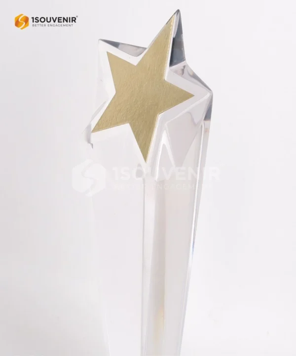 DETAIL-PP292 Trophy BKKBN 2024