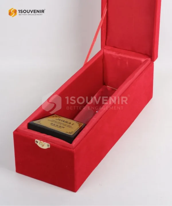 DETAIL2-PP292 Trophy BKKBN 2024