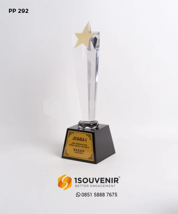 PP292 Trophy BKKBN 2024
