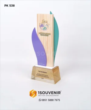 PK538 Wooden Plaque Top Achiever