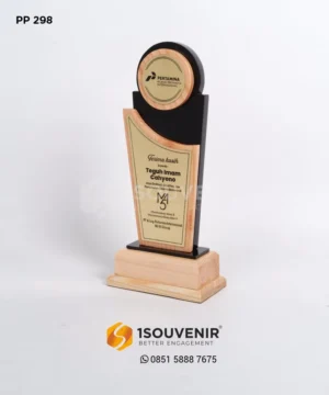 PP298 Trophy KPI RU IV