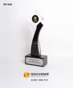 PP300 Trophy Innovative Hospital