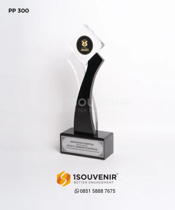 PP300 Trophy Innovative Hospital
