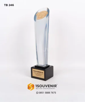 TB246 Trophy Porseni RW 09
