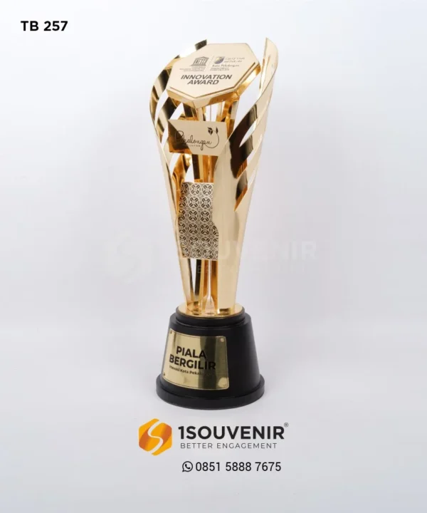 TB257 Trophy Innovation Award City