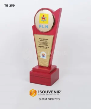 TB259 Trophy Man of The Month