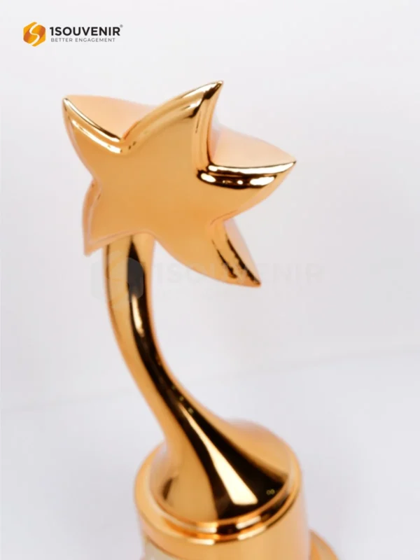 DETAIL-PP347 Trophy Pbs Award