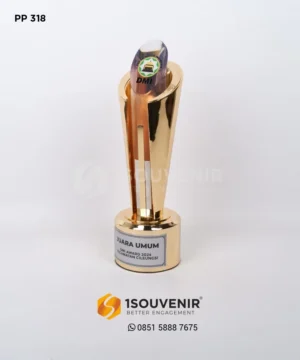 PP318 Trophy DMI Award