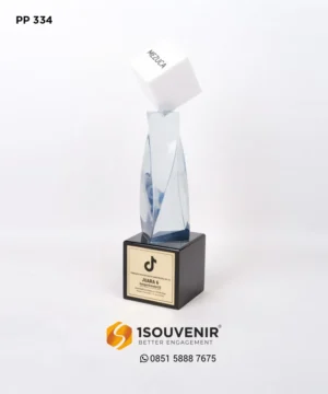 PP334 Trophy Tiktok Shop