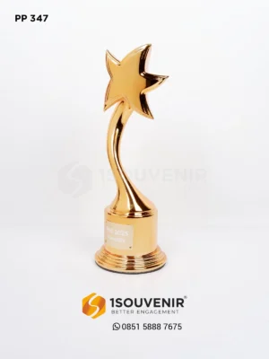PP347 Trophy Pbs Award