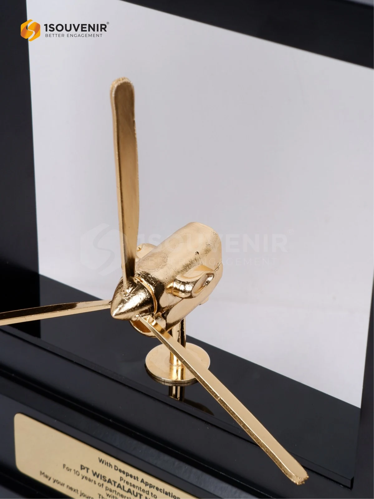 DETAIL-PF286 Frame Plaque Airfast Indonesia