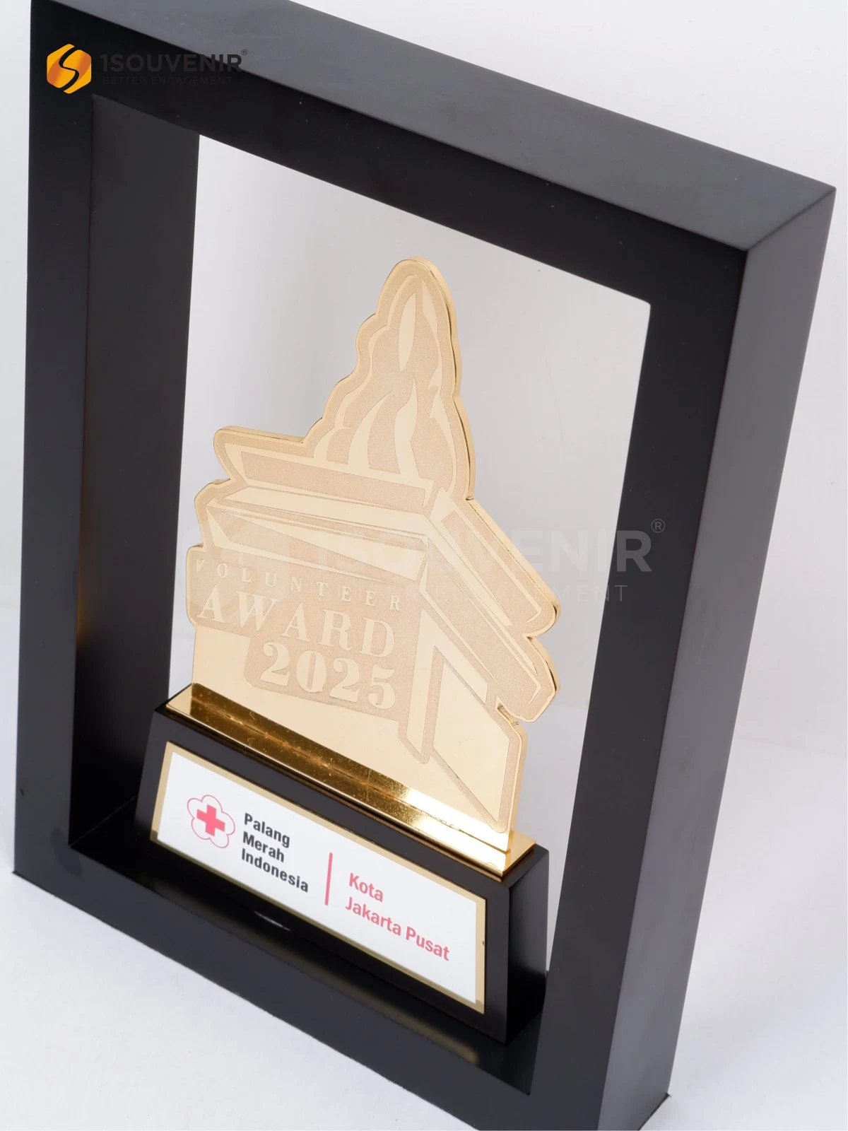 DETAIL-PF297 Frame Plaque Volunteer Award 2025