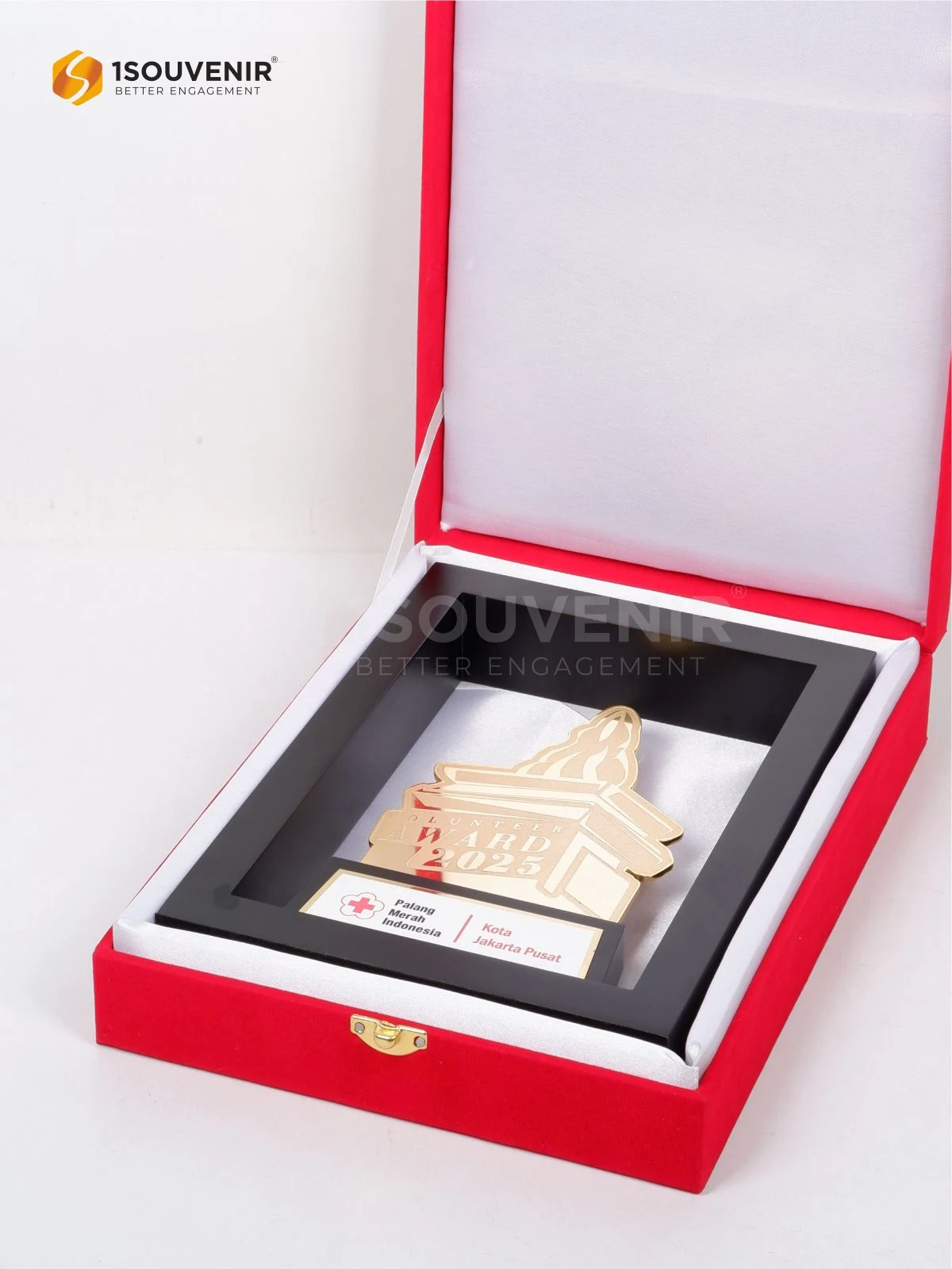 DETAIL2-PF297 Frame Plaque Volunteer Award 2025