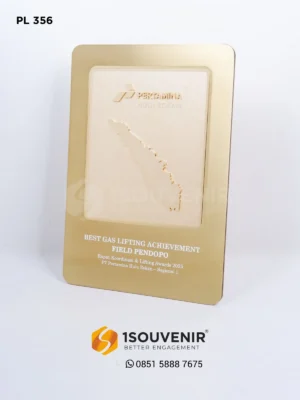 PL356 Metal Plaque Best Gas Lifting